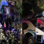 泰國恐怖車禍！夜間雙層大巴失控撞樹「車頭消失」釀14死　疑司機睡不飽肇事