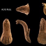 清華大學考古又有大發現！白沙屯遺址出土「4000年蛇形陶把」疑為部族祭器