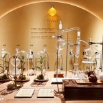 橫跨138億年的壯遊體驗！坪林茶博館「泡特展」謝幕最後倒數！