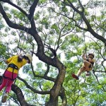 夏日探秘北橫山林》夏天必體驗三種「天然冷氣」消暑遊程