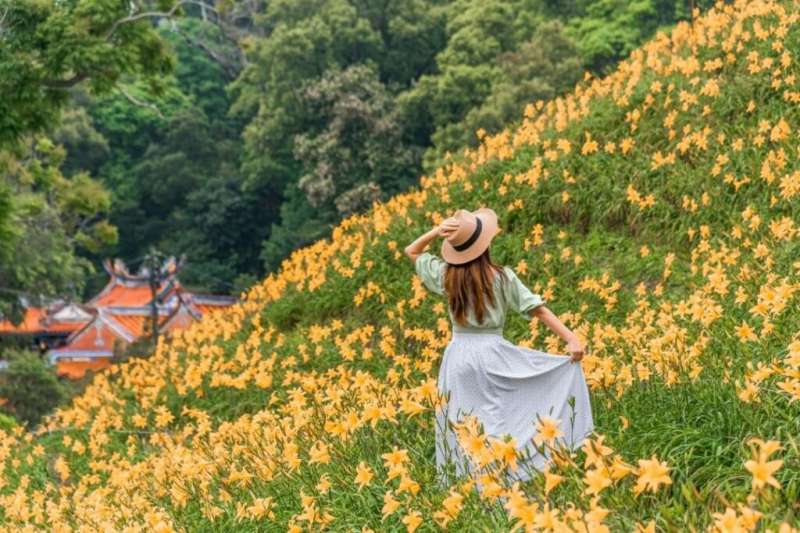 金針花海景點-花壇虎山巖。(圖/tripbaa趣吧提供)