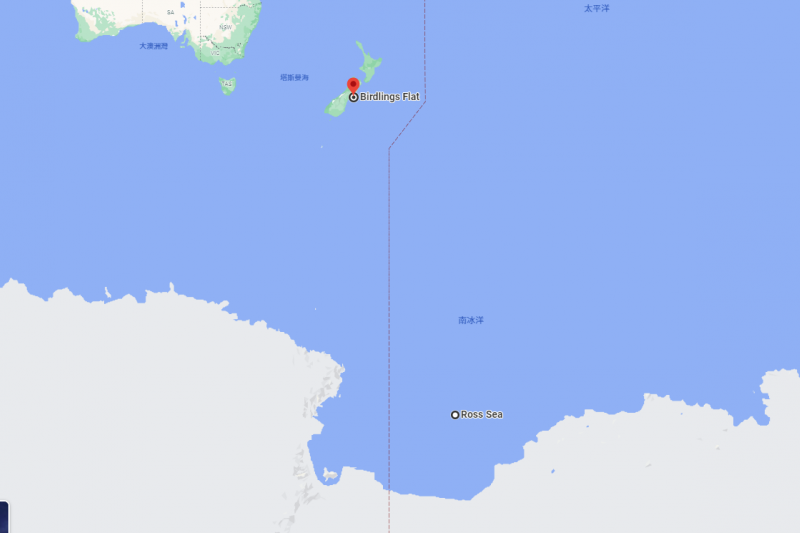 10日傍晚，紐西蘭柏德林斯平地（Birdlings Flat）的居民辛格在海灘發現一隻來自南極的阿德利企鵝（截自Google Map）