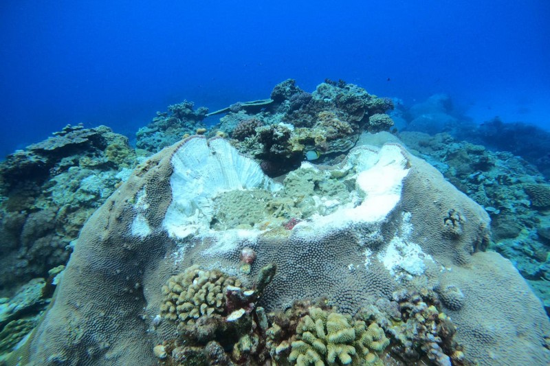 綠島石朗潛水區下方大片珊瑚礁因工程船下錨慘遭嚴重毀壞！(圖/俞明宏@Facebook 授權提供)