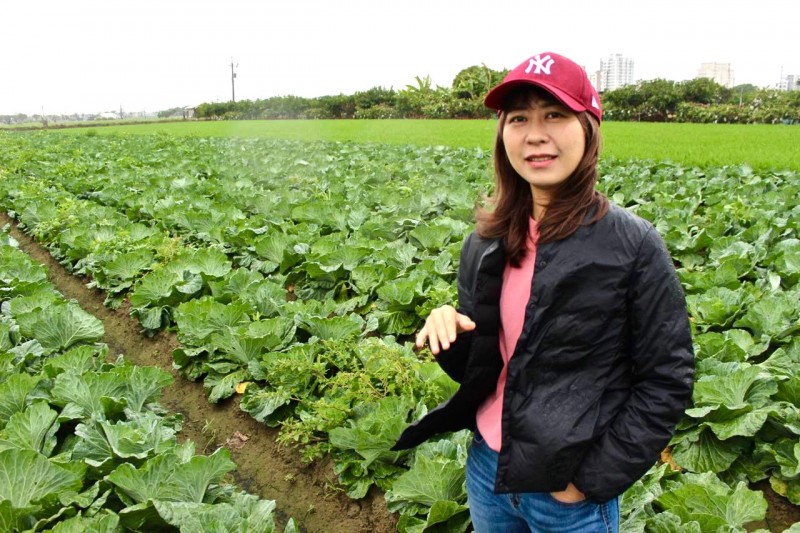 許玉靜和她的有機高麗菜田（攝影／馬振瀚，圖片來源：上下游新聞市集）