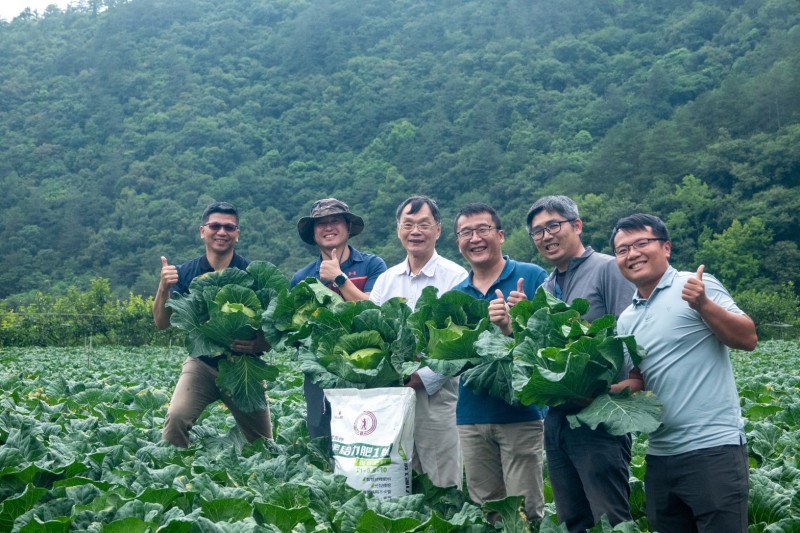 台肥營業ㄧ處處長何上堂（左三）率同仁前往高麗菜田視察，大讚給力肥一號節省人力及提高肥料養分利用率。（台肥提供）