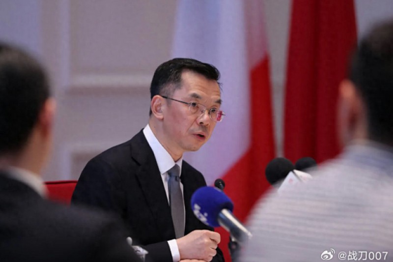 中國駐法國大使盧沙野惡語以批評台灣政權是中國的「叛亂團體」，但前立委蔡正元的反擊也不夠高明。（取自微博）
