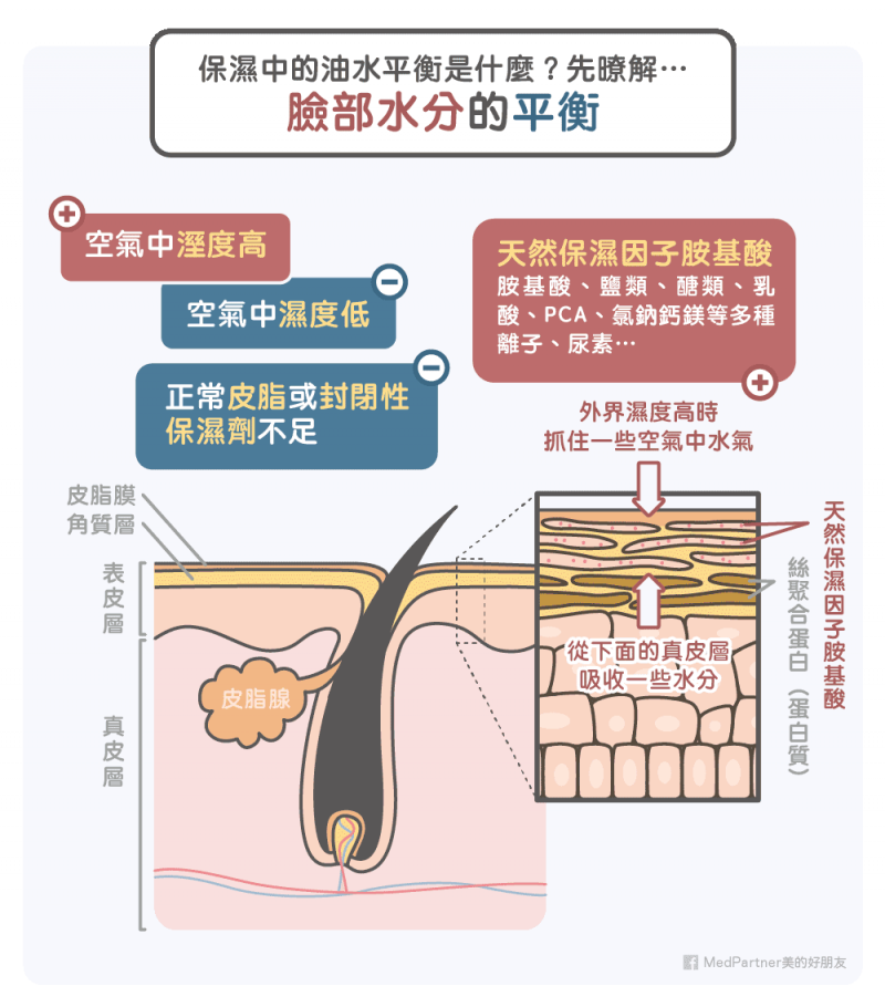 （圖／MedPartner提供）