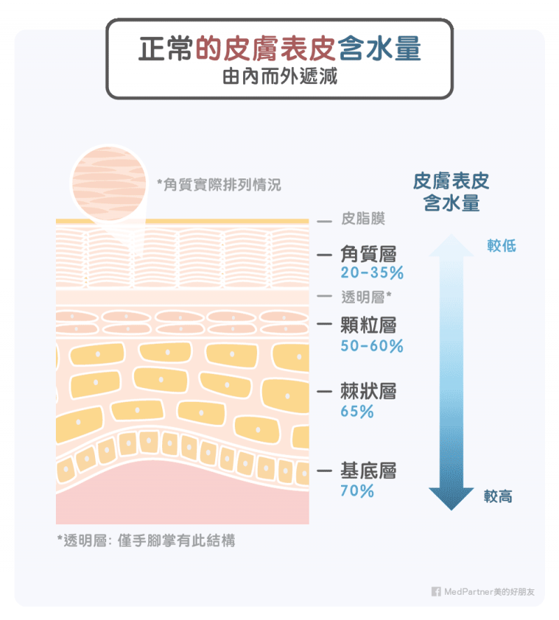 （圖／MedPartner提供）