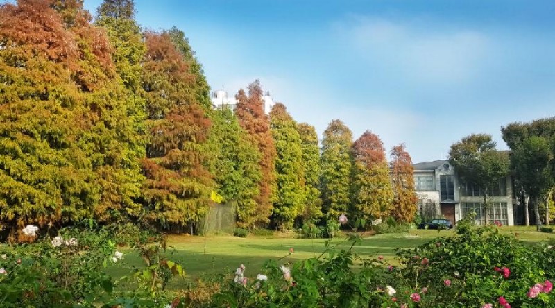 雅聞魅力博覽館一景（圖 / 取自台灣雅聞生技股份有限公司官網）