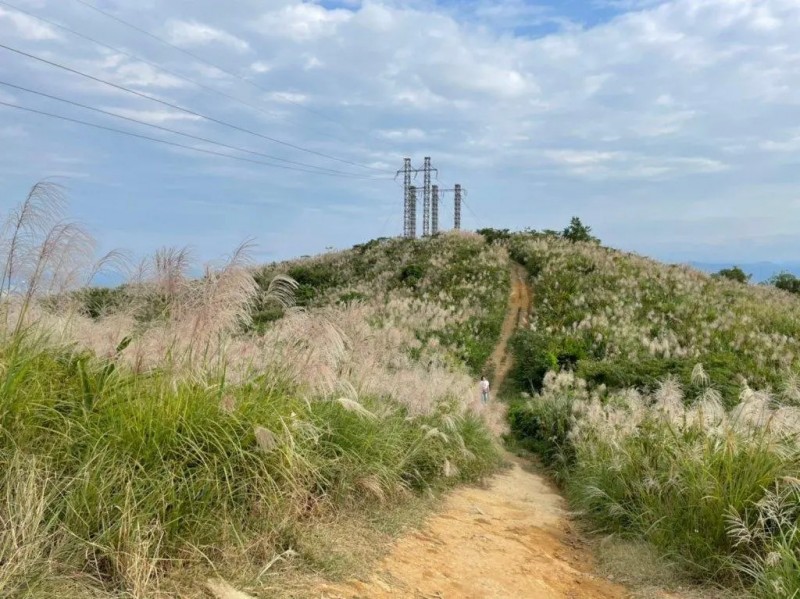 樹林三角埔頂山（圖／健行筆記提供）