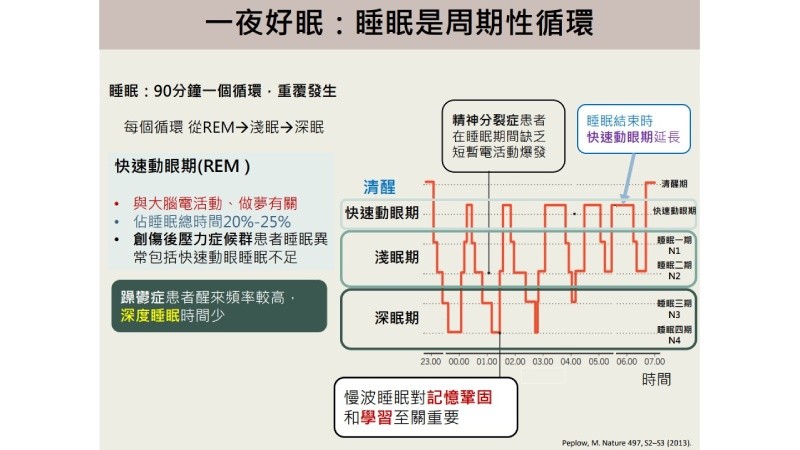 ▲▼睡眠是週期性循環，不同年齡層所需睡眠時間也不同。（圖／健康新聞網提供）