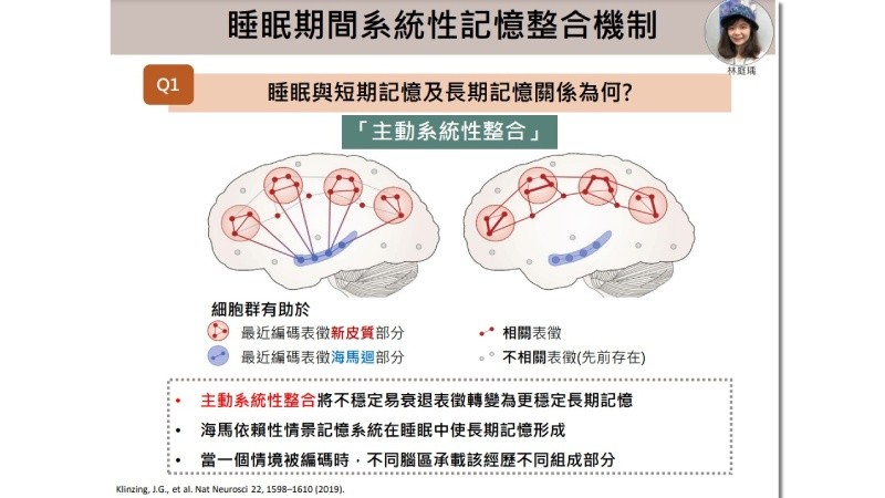 ▲睡眠與長短期記憶關係密切。（圖／健康新聞網提供）