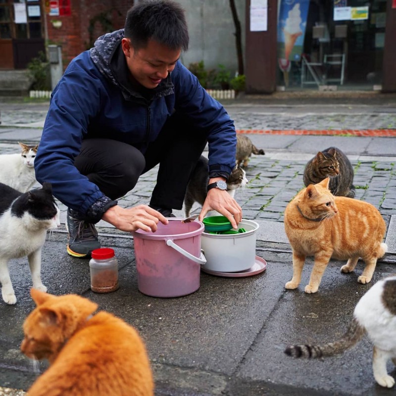 猴硐貓村（圖／Instagram@catographytaiwan 提供）