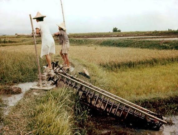 古代農地灌溉水源取得方式有三種，一是興建水潭、水陂與水圳。「水潭」是以人力轉（踩）動龍骨車（又稱：龍骨水車、水車），將位於進低漥地區之水引（舀）進田地。（作者提供）