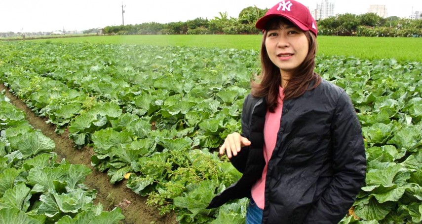 她的高麗菜，家樂福、全聯都在賣！台南女兒許玉靜引進企管觀念，要扭轉農民弱勢