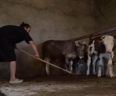 Öküz alırız o parayla repliği ilham verdi... Evlenmesi için babasının biriktirdiği parayla hayatını değiştirdi...