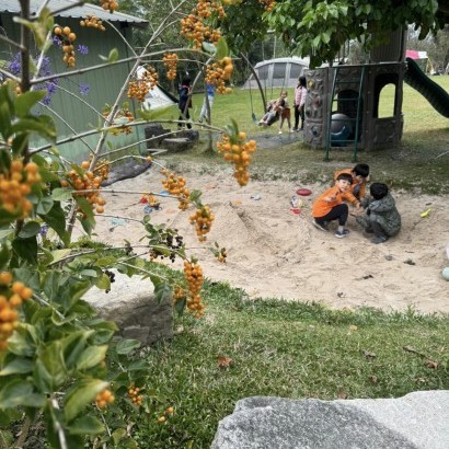 台中和平 德芙蘭農場