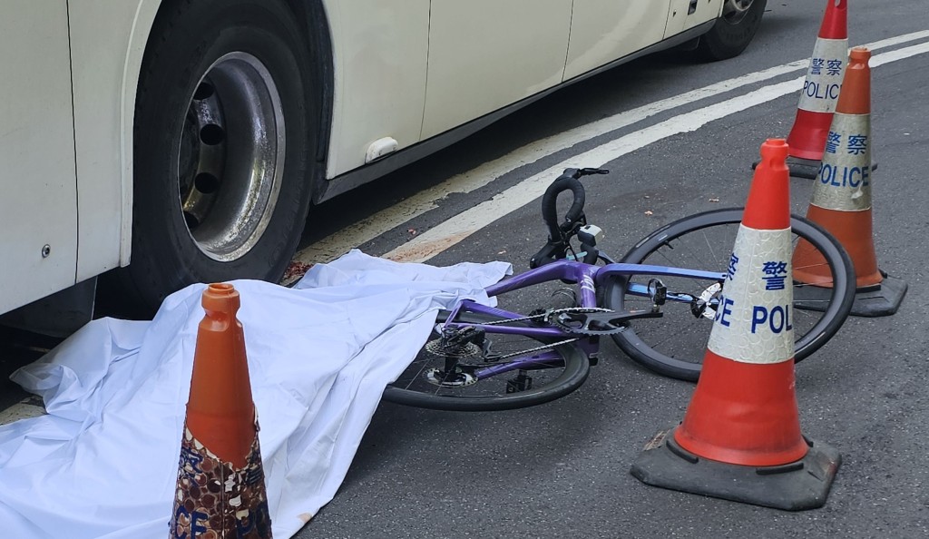 事發於大嶼山羗山道近成輝果園巴士站位置。（徐裕民攝）