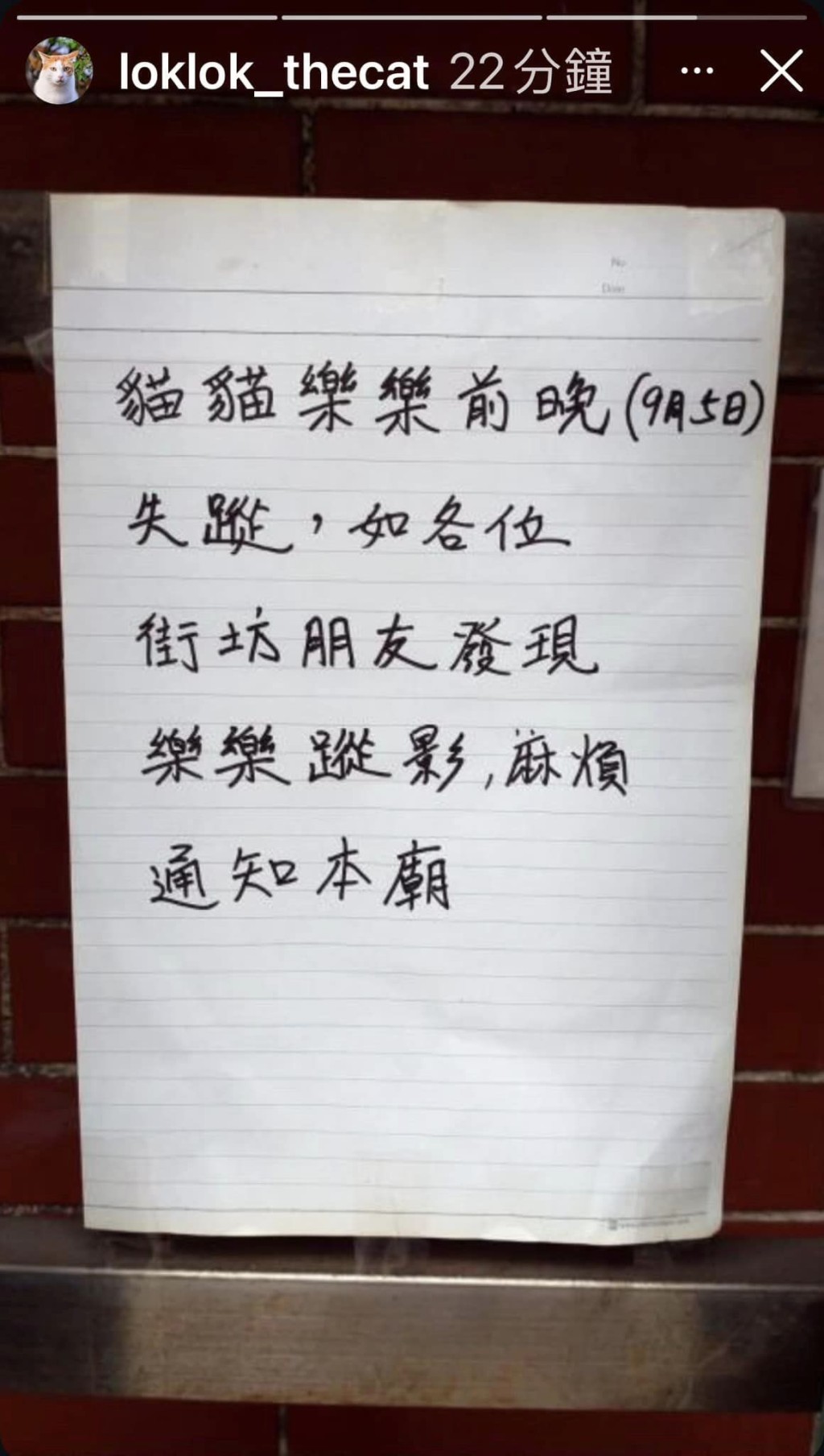 紅磡北帝廟事後貼出告示尋貓。網上圖片