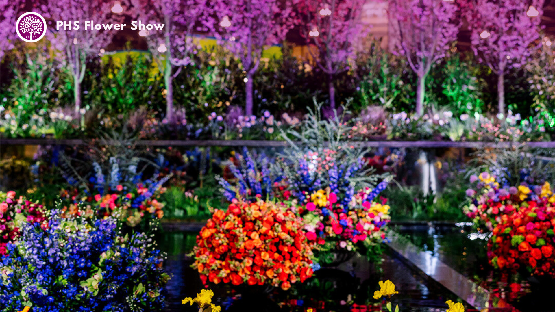 A photo of vibrant flowers from the Philadelphia Flower Show, with the PHS logo in the corner