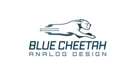 Blue Cheetah