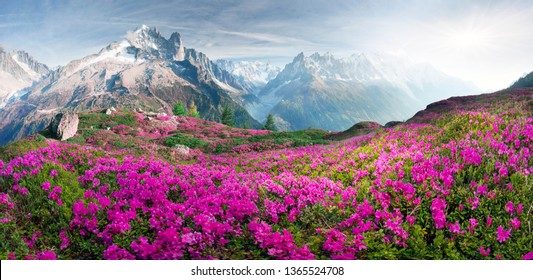 Mountain Spring High Res Stock Images Shutterstock