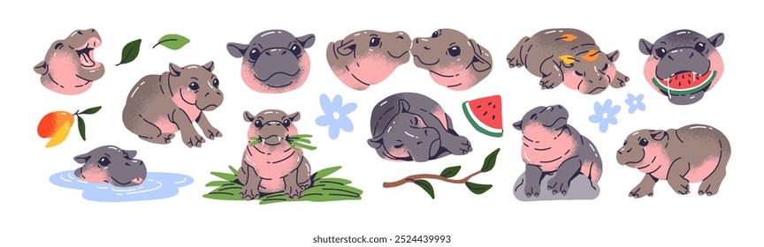 Cute baby hippo set. Funny pygmy hippopotamus has fun, sleeps, eats watermelon. Happy plump African animal swims in water, walks, relaxes. Flat isolated vector illustrations on white background