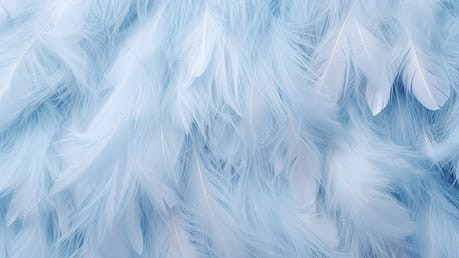 Serene Pastel Blue Feathers A Vintage Touch Of Softness And Texture ...