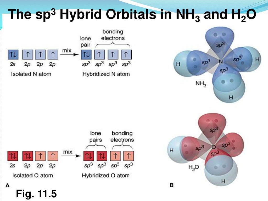 PPT - Valence Bond Theory and Molecular Orbital Theory PowerPoint ...