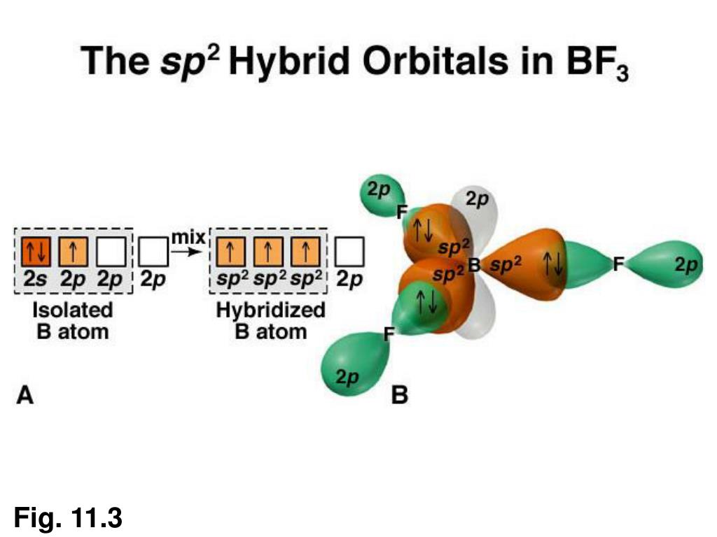 PPT - Chapter 11: Theories of Covalent Bonding PowerPoint Presentation ...