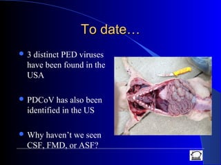 To date…To date…
 3 distinct PED viruses
have been found in the
USA
 PDCoV has also been
identified in the US
 Why haven’t we seen
CSF, FMD, or ASF?
 