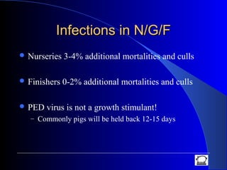 Infections in N/G/FInfections in N/G/F
 Nurseries 3-4% additional mortalities and culls
 Finishers 0-2% additional mortalities and culls
 PED virus is not a growth stimulant!
– Commonly pigs will be held back 12-15 days
 