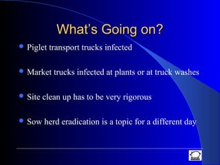 What’s Going on?What’s Going on?
 Piglet transport trucks infected
 Market trucks infected at plants or at truck washes
 Site clean up has to be very rigorous
 Sow herd eradication is a topic for a different day
 