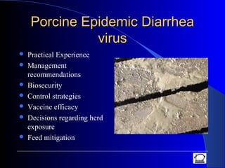 Porcine Epidemic DiarrheaPorcine Epidemic Diarrhea
virusvirus
 Practical Experience
 Management
recommendations
 Biosecurity
 Control strategies
 Vaccine efficacy
 Decisions regarding herd
exposure
 Feed mitigation
 