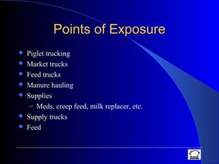 Points of ExposurePoints of Exposure
 Piglet trucking
 Market trucks
 Feed trucks
 Manure hauling
 Supplies
– Meds, creep feed, milk replacer, etc.
 Supply trucks
 Feed
 