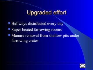 Upgraded effortUpgraded effort
Hallways disinfected every day
Super heated farrowing rooms
Manure removal from shallow pits under
farrowing crates
 