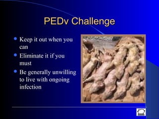 PEDv ChallengePEDv Challenge
 Keep it out when you
can
 Eliminate it if you
must
 Be generally unwilling
to live with ongoing
infection
 