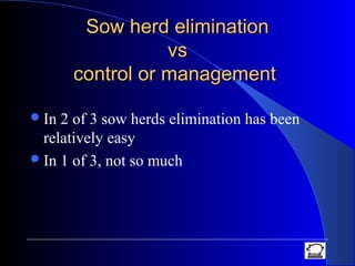 Sow herd eliminationSow herd elimination
vsvs
control or managementcontrol or management
In 2 of 3 sow herds elimination has been
relatively easy
In 1 of 3, not so much
 