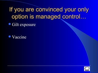 If you are convinced your onlyIf you are convinced your only
option is managed control…option is managed control…
Gilt exposure
Vaccine
 