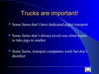 Trucks are important!Trucks are important!
 Some farms don’t have dedicated piglet transport
 Some farms don’t always (ever) use clean trucks
to take pigs to market
 Some farms, transport companies wash but don’t
disinfect
 