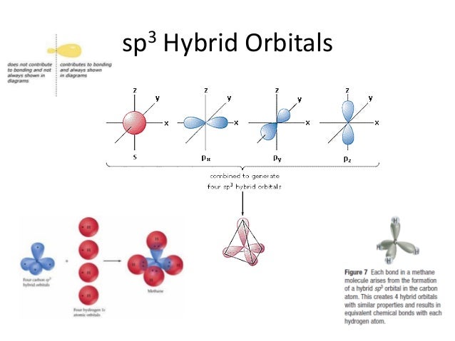 SP2 Hybrid Orbitals