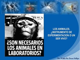 LOS ANIMALES.
¿INSTRUMENTO DE
EXPERIMENTACION O UN
SER VIVO?
 