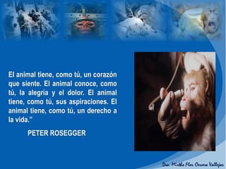 El animal tiene, como tú, un corazón
que siente. El animal conoce, como
tú, la alegría y el dolor. El animal
tiene, como tú, sus aspiraciones. El
animal tiene, como tú, un derecho a
la vida.”
PETER ROSEGGER
 