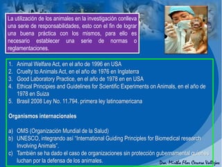 La utilización de los animales en la investigación conlleva
una serie de responsabilidades, esto con el fin de lograr
una buena práctica con los mismos, para ello es
necesario establecer una serie de normas o
reglamentaciones.
1. Animal Welfare Act, en el año de 1996 en USA
2. Cruelty to Animals Act, en el año de 1976 en Inglaterra
3. Good Laboratory Practice, en el año de 1978 en en USA
4. Ethical Principies and Guidelines for Scientific Experiments on Animals, en el año de
1978 en Suiza
5. Brasil 2008 Ley No. 11.794. primera ley latinoamericana
Organismos internacionales
a) OMS (Organización Mundial de la Salud)
b) UNESCO, integrando así “International Guiding Principles for Biomedical research
Involving Animals”.
c) También se ha dado el caso de organizaciones sin protección gubernamental quienes
luchan por la defensa de los animales.
 