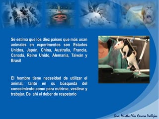 Se estima que los diez países que más usan
animales en experimentos son Estados
Unidos, Japón, China, Australia, Francia,
Canadá, Reino Unido, Alemania, Taiwán y
Brasil
El hombre tiene necesidad de utilizar el
animal, tanto en su búsqueda del
conocimiento como para nutrirse, vestirse y
trabajar. De ahí el deber de respetarlo
 