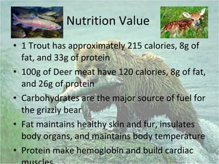 Nutrition Value  1 Trout has approximately 215 calories, 8g of fat, and 33g of protein 100g of Deer meat have 120 calories, 8g of fat, and 26g of protein Carbohydrates are the major source of fuel for the grizzly bear Fat maintains healthy skin and fur, insulates body organs, and maintains body temperature Protein make hemoglobin and build cardiac muscles.  