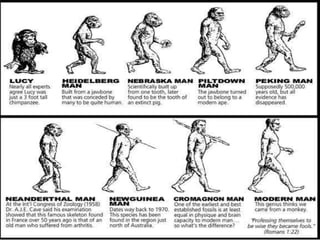 THE STORY OF HUMAN EVOLUTION 