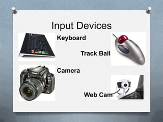 Input Devices
 Keyboard

          Track Ball

 Camera


           Web Cam
 