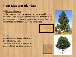 Tipos Maderas Blandas:
El Pino Silvestre:
Es la madera de carpintería y construcción por
excelencia: algo rojiza, de grano fino y fácil de trabajar. Es
muy adecuada en construcción y se emplea con éxito en
entramados, cimentaciones, obras hidráulicas.
Tilo.
Madera blanda, ligera y flexible.
Se trabaja muy bien.
Tiene poca resistencia mecánica.
Zuecos, tallas, lápices y bastones.
 