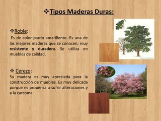 Tipos Maderas Duras:
Roble:
Es de color pardo amarillento. Es una de
las mejores maderas que se conocen; muy
resistente y duradera. Se utiliza en
muebles de calidad.
 Cerezo:
Su madera es muy apreciada para la
construcción de muebles. Es muy delicada
porque es propensa a sufrir alteraciones y
a la carcoma.
 